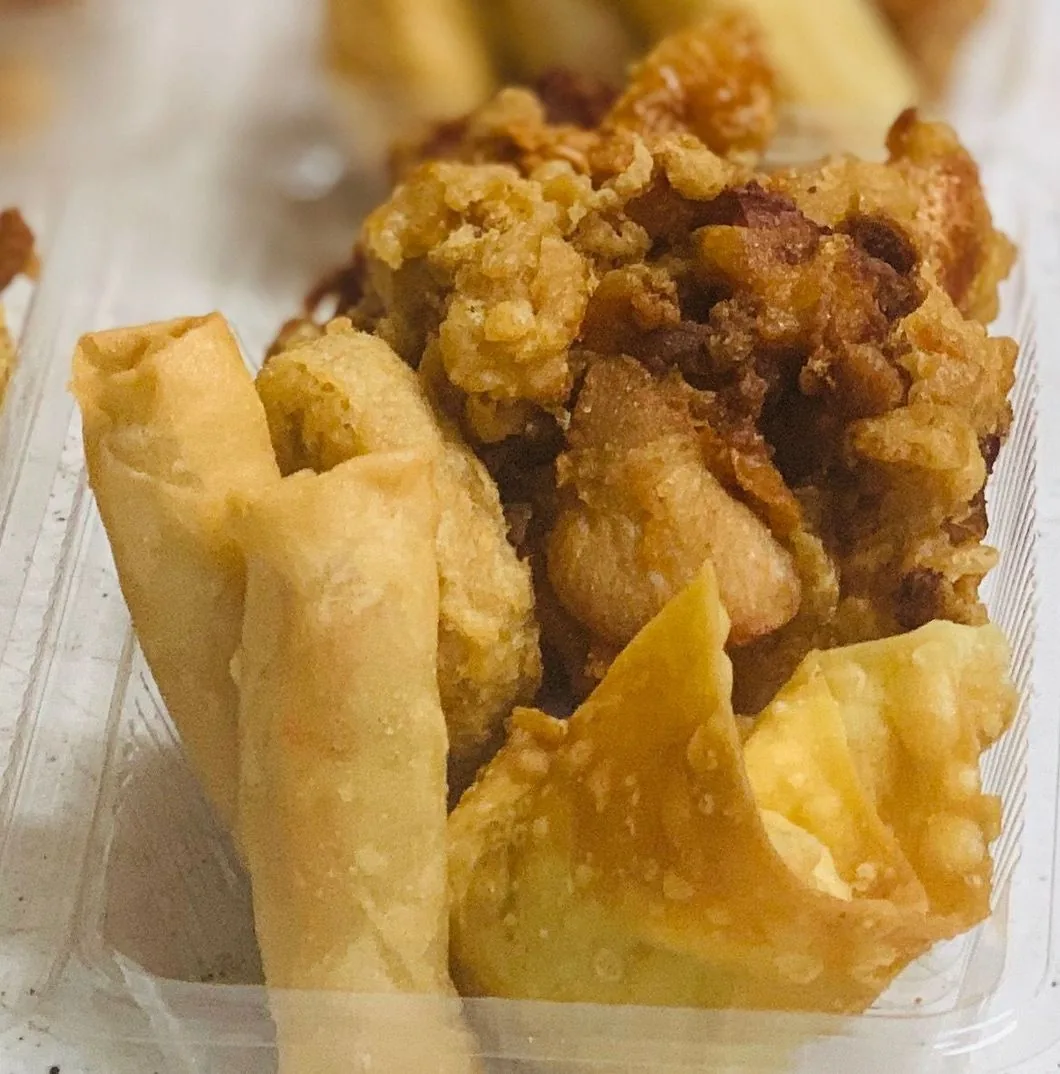 Takeaway container filled with spring rolls and wontons